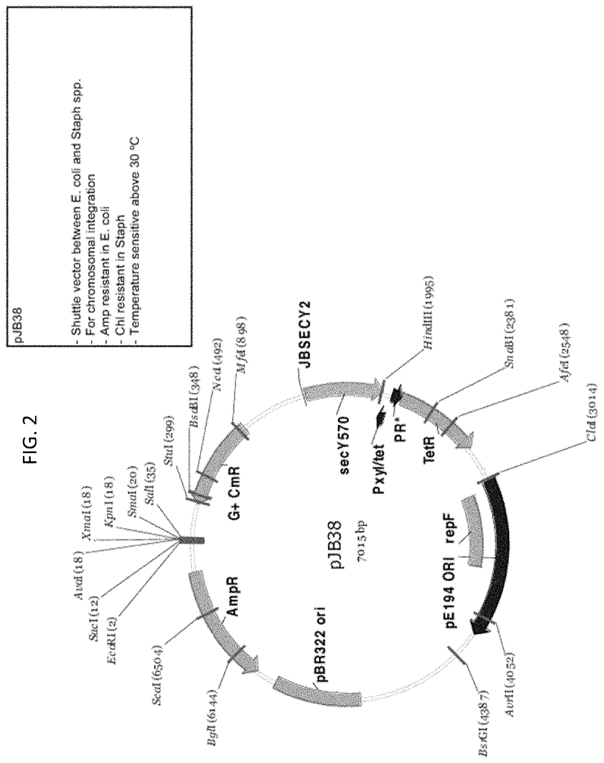 Compositions and methods for treatment of cancer with lekti