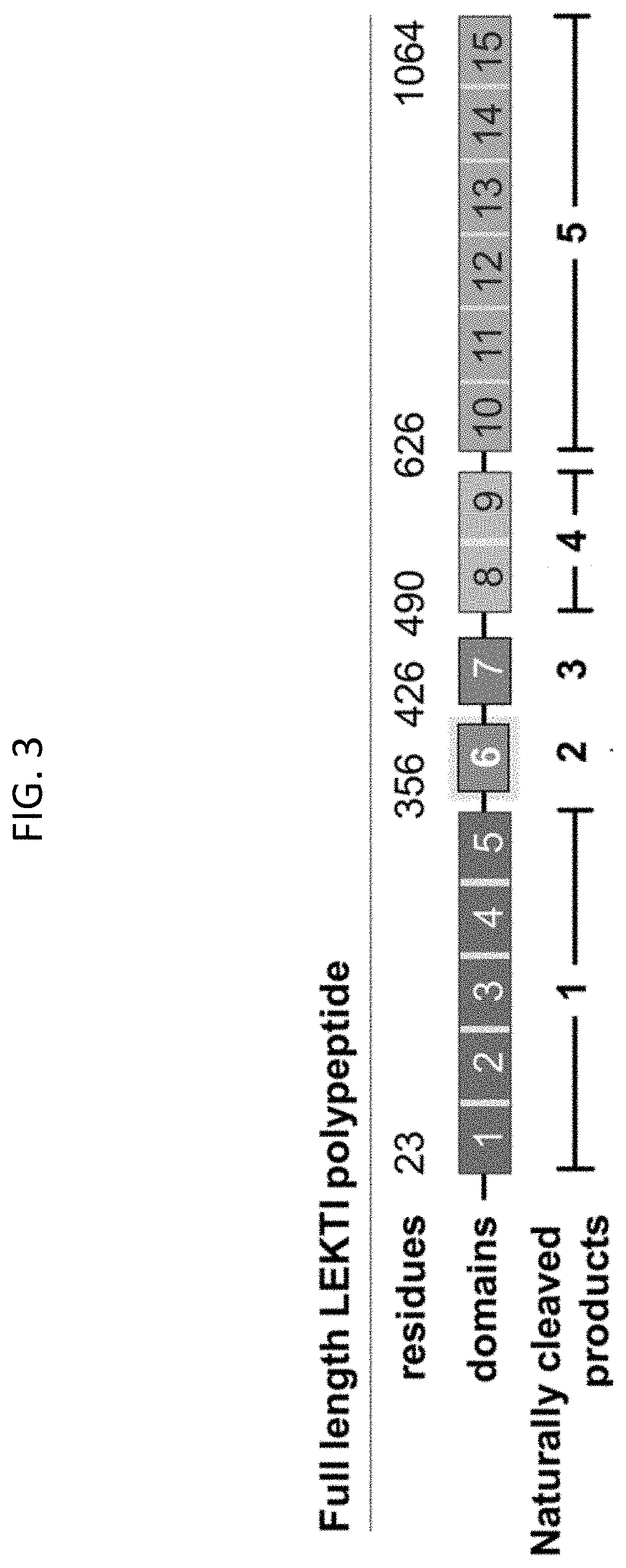 Compositions and methods for treatment of cancer with lekti