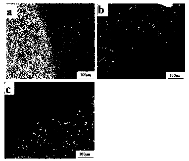 A kind of preparation method of titanium-based biomedical graded composite material