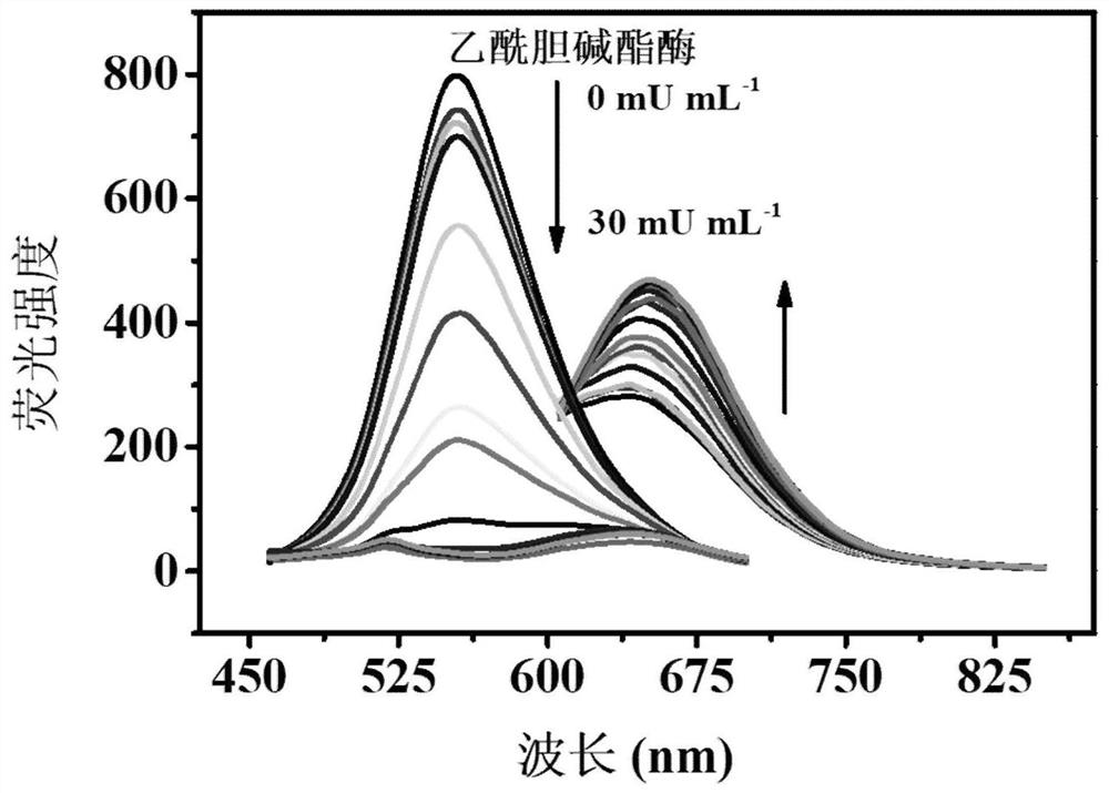 Chlorpyrifos ratio fluorescence method based on manganese dioxide nanosheet biomimetic fluorescent composite material