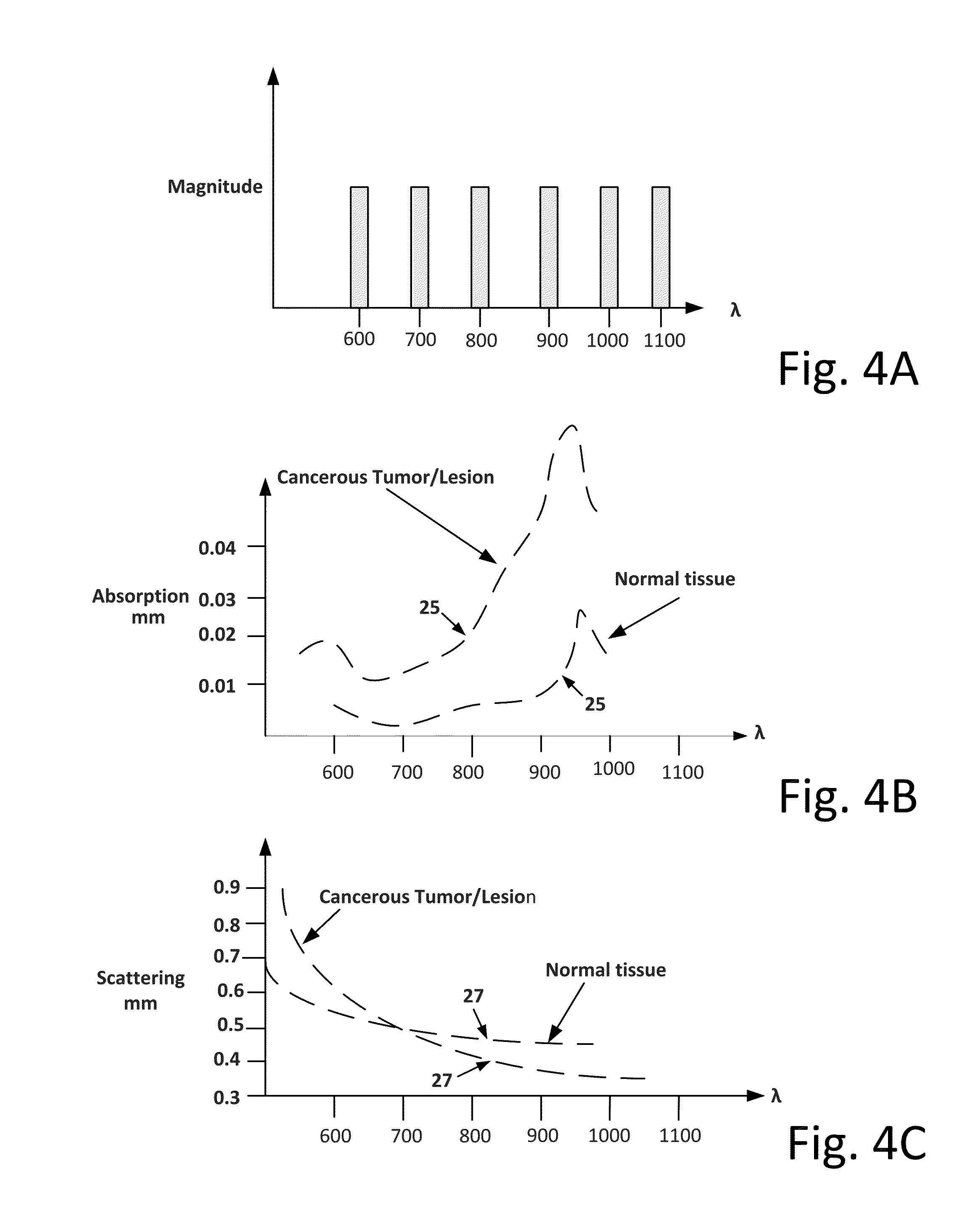 Portable cancer diagnostic device and system