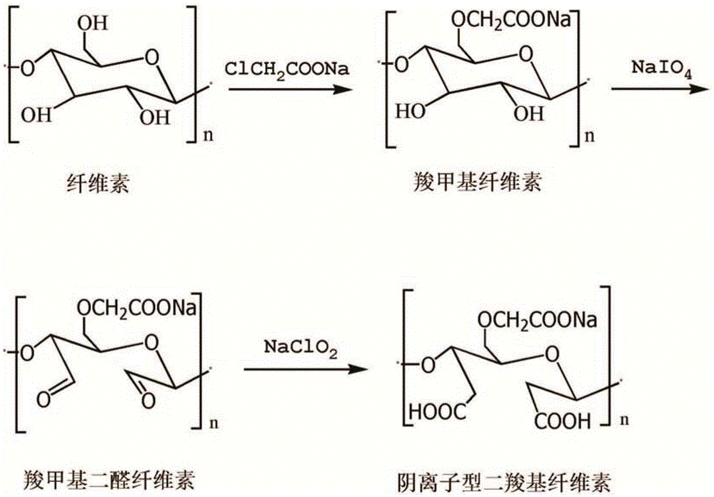 Preparation method for anionic dicarboxy cellulose green flocculation material