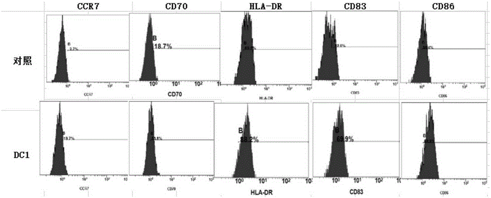 Kit for activating ovarian cancer specific immunity response