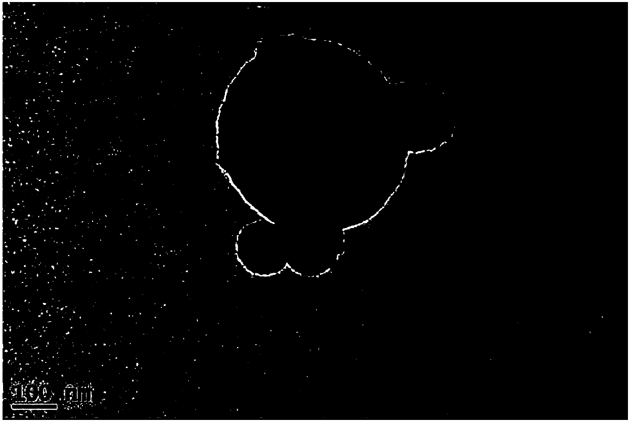 Complex phase powder and preparation method thereof