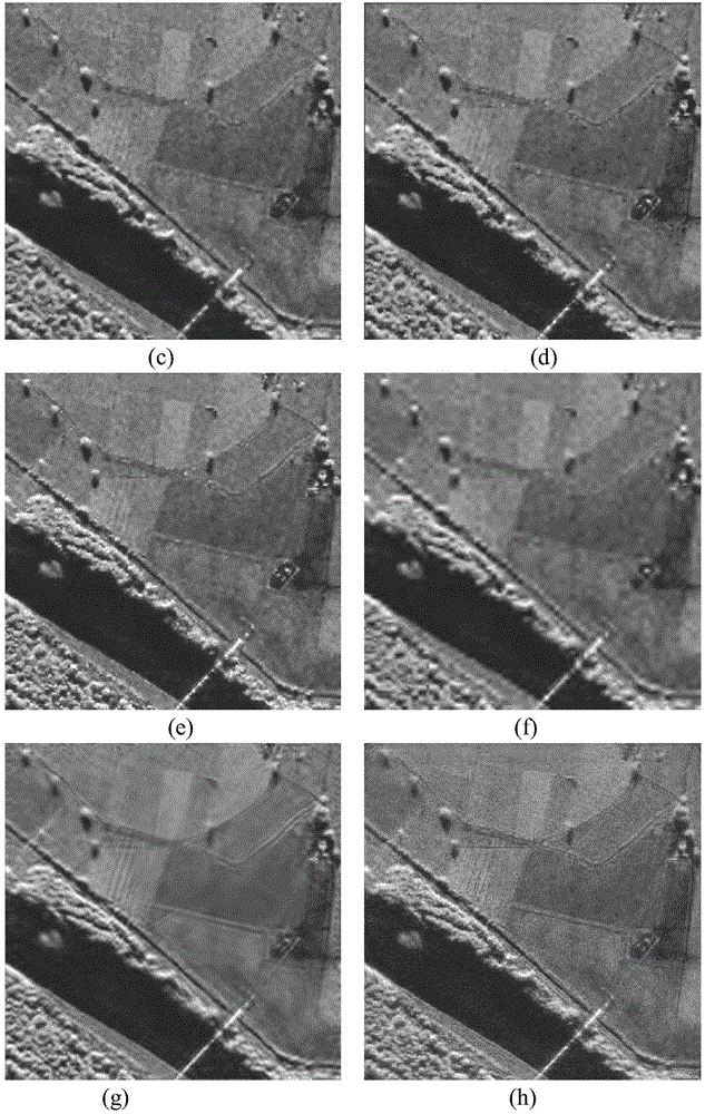 Synthetic aperture radar image de-noising method based on shear wave domain parameter estimation