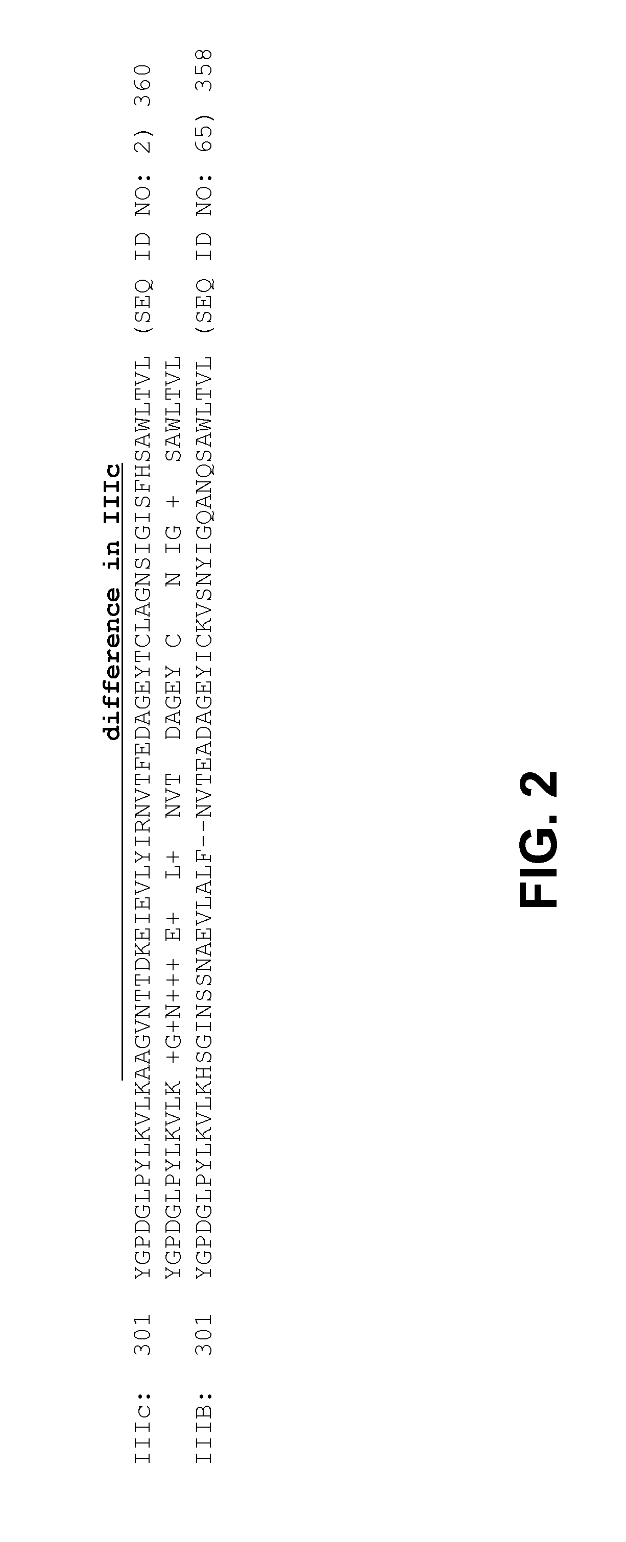 Inhibitors of oncogenic isoforms and uses thereof