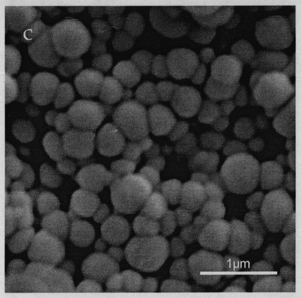 A kind of 20(s)-protopanaxadiol nanoparticles and preparation method thereof