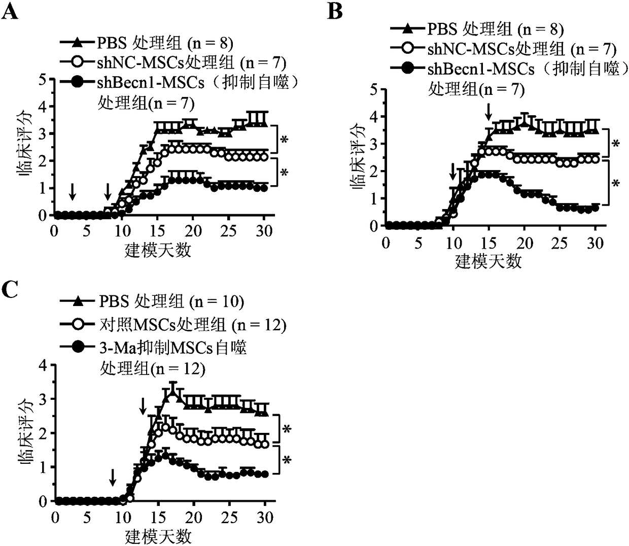 Application of inhibiting autophagy of mesenchymal stem cells in autoimmune diseases