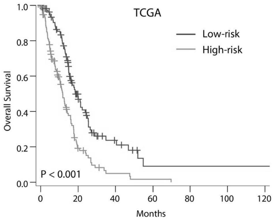 Marker used for predicting isocitrate dehydrogenase 1 gene wild-type glioma prognosis and anti-PD1 treatment curative effect, and application of marker