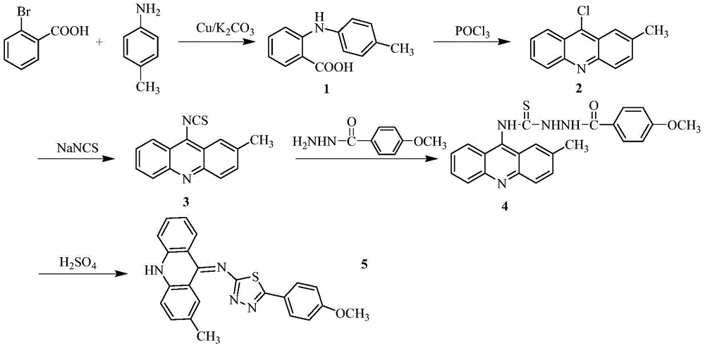 Acridine-1,3,4-thiadiazole compounds and their preparation methods and applications