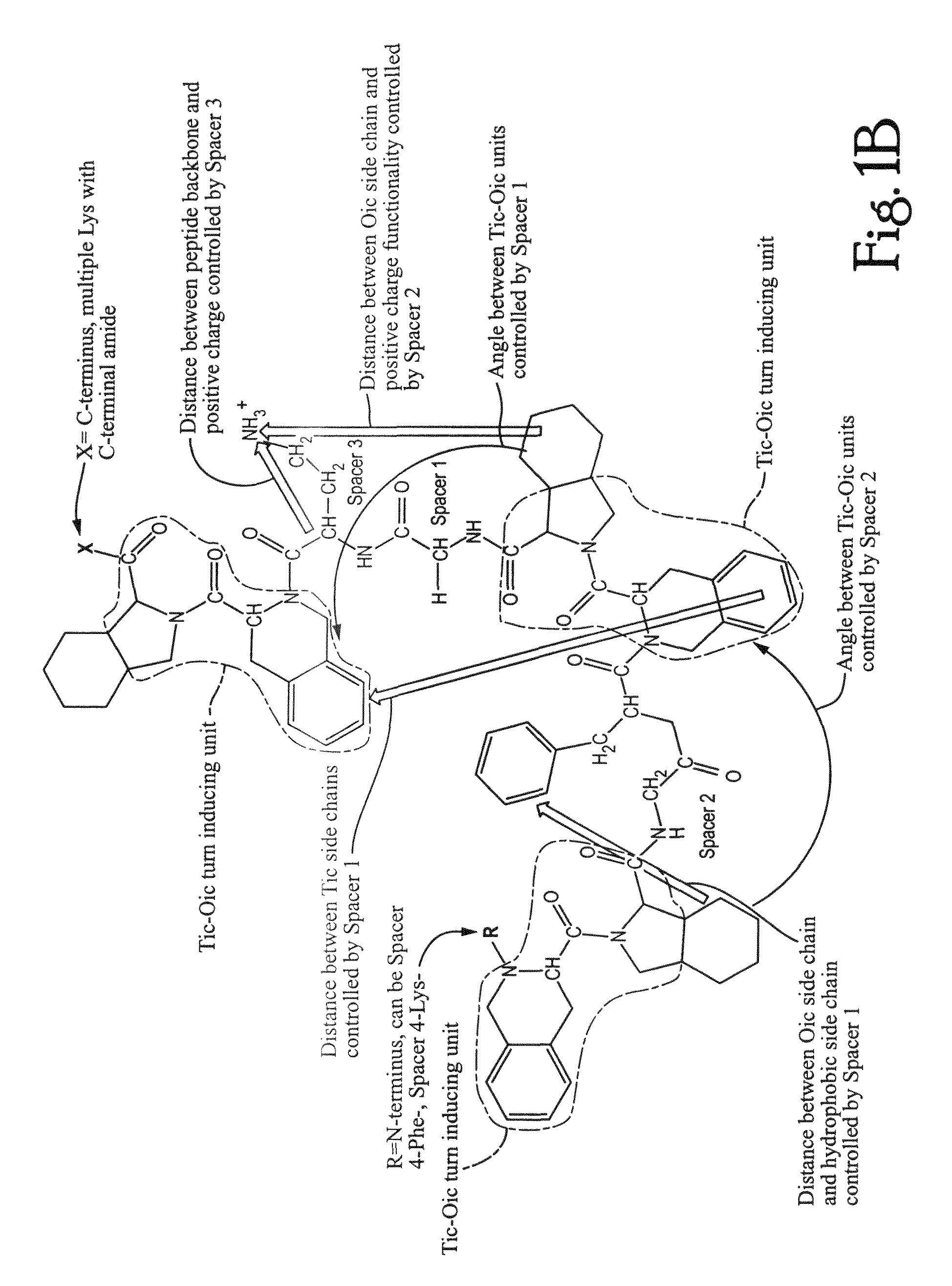 Anti-microbial peptidomimetic compounds and methods to calculate anti-microbial activity