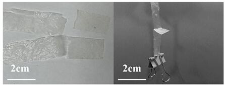 Preparation method and application of high-toughness and high-transparency heat-sealable cellulose membrane