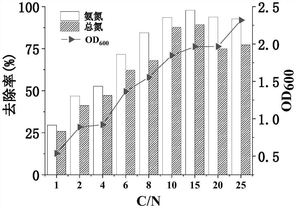 Low-carbon and high-nitrogen resistant heterotrophic nitrification-aerobic denitrification sphingomyza sp. CY-10 and application thereof