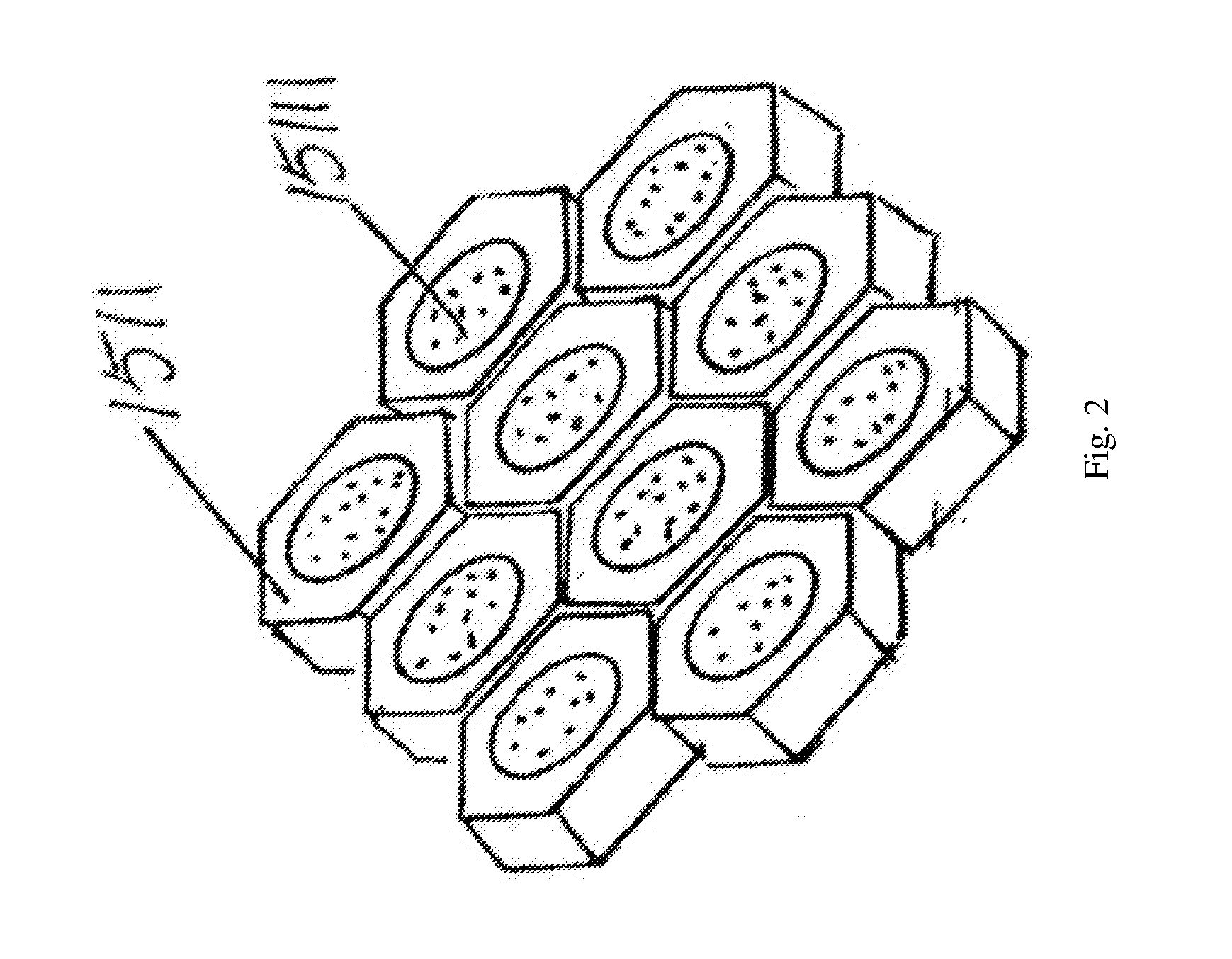 In-situ purification island structure and the construction method thereof