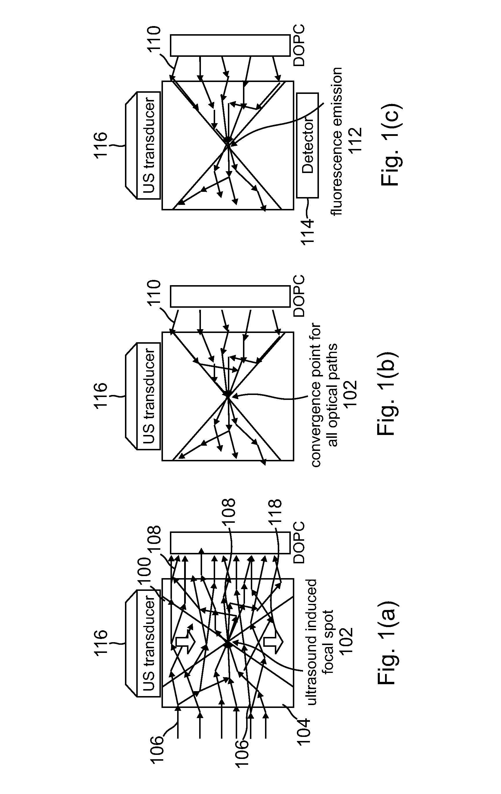 Acoustic assisted phase conjugate optical tomography
