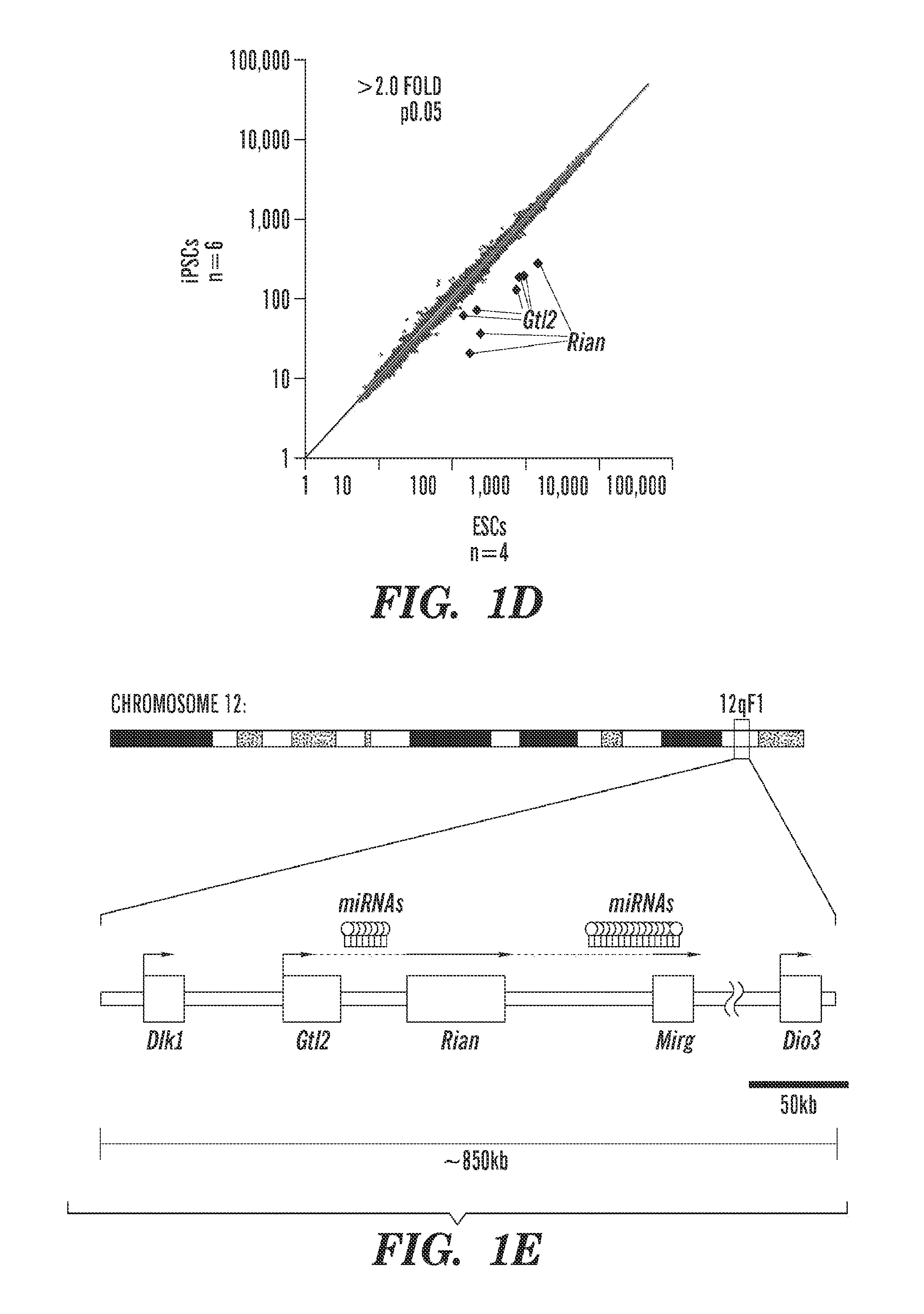 Method for selecting an ips cell