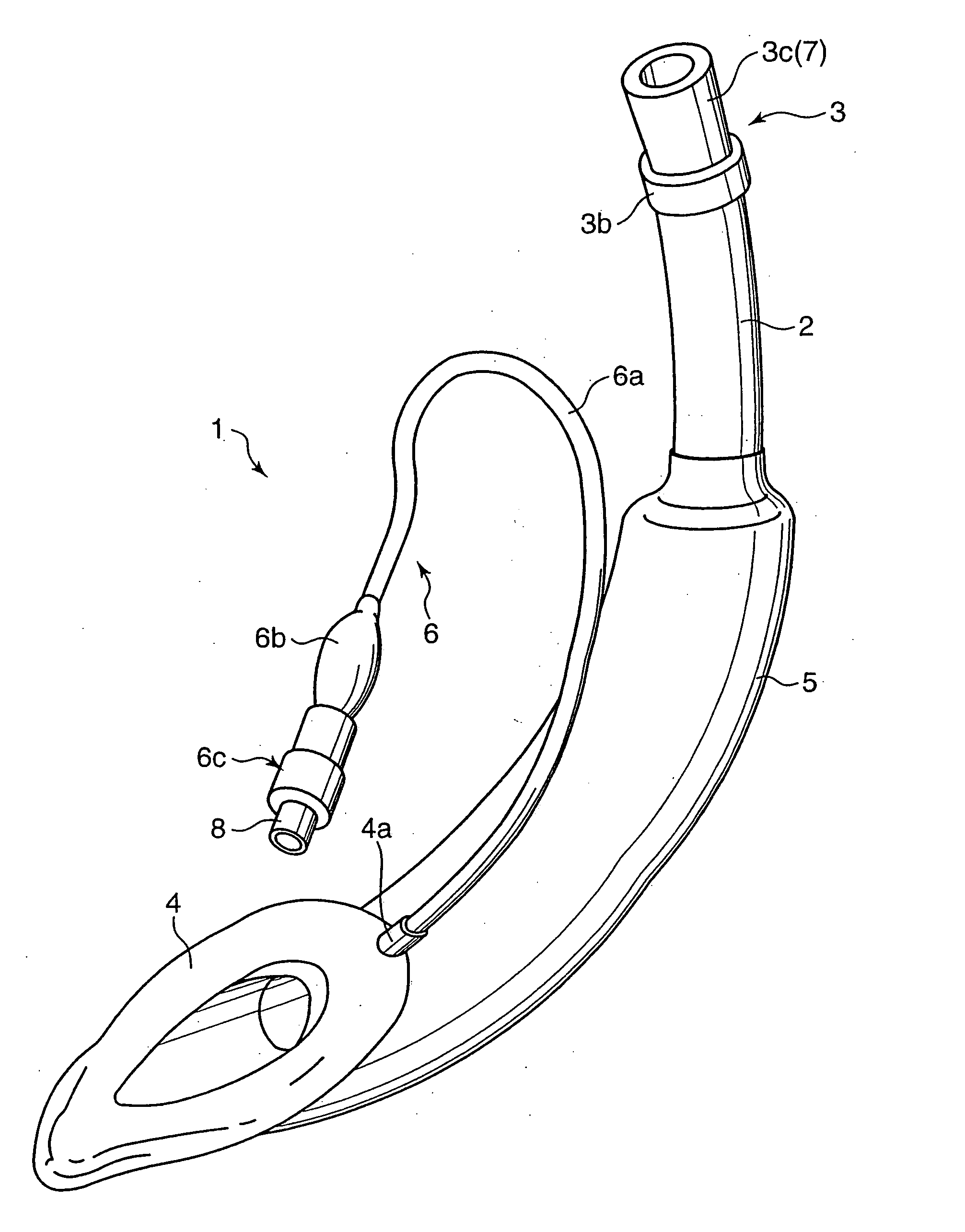Brain Cooling Apparatus And Fluid Injection Apparatus Used Therefor