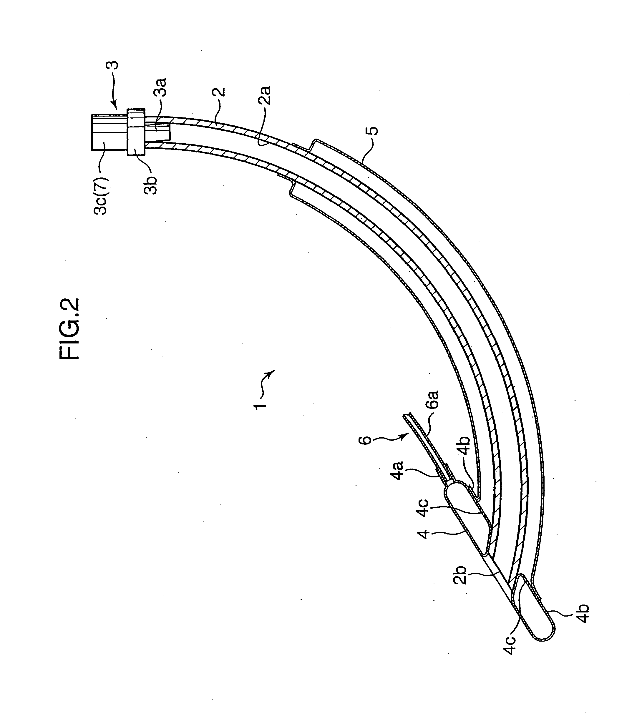 Brain Cooling Apparatus And Fluid Injection Apparatus Used Therefor