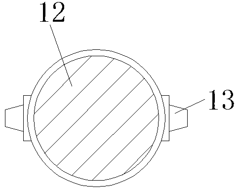 Automatic feeding device capable of preventing feed waste for breeding plant