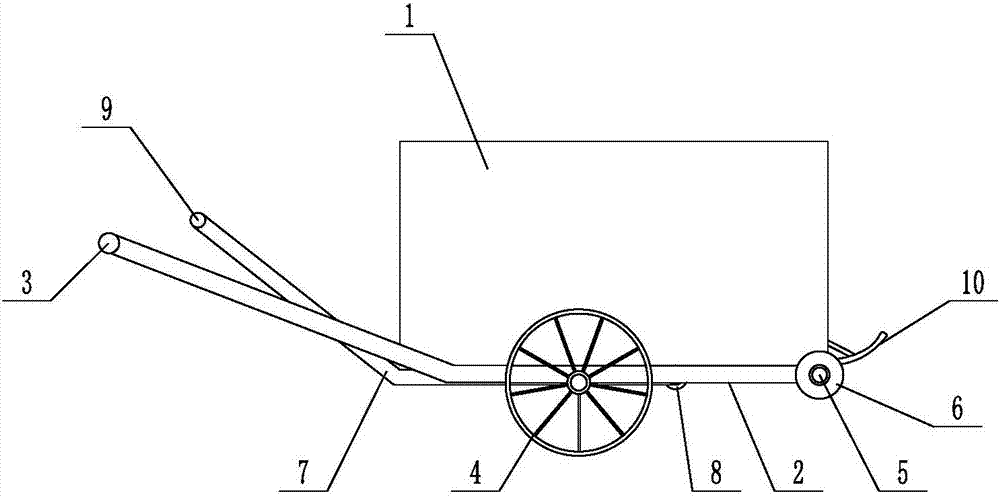 Cattle feed transfer trolley