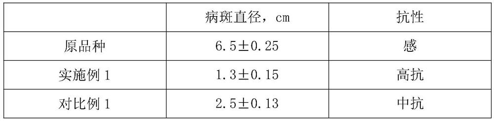 Method for polyploidy embedding induction of Jiangxi Qianshan Colocasia esulenla Schott