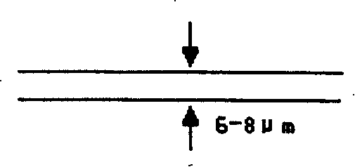 Electric tuning integrated optical filter with high-fineness