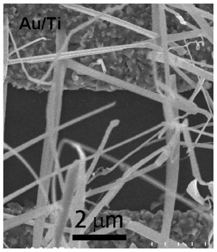 Photoelectric sensor based on copper-doped cadmium sulfide nanowires and preparation method of photoelectric sensor