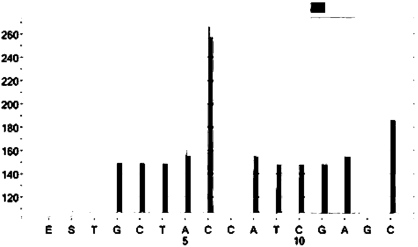 Pyrosequencing detection method for dairy cow leukocyte adhesion deficiency