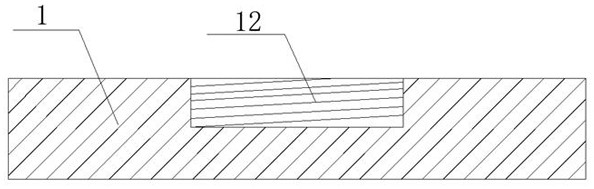 Rapid sterilization device of vegetable vacuum packaging equipment