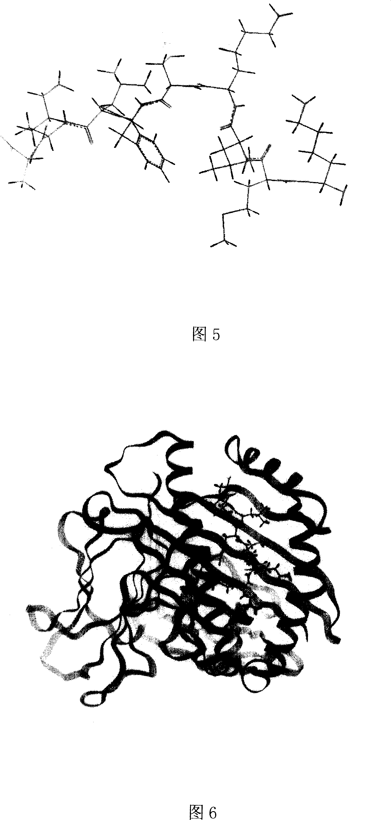 Heparinase polypeptide epitope combined to molecules in human MIIC -I category