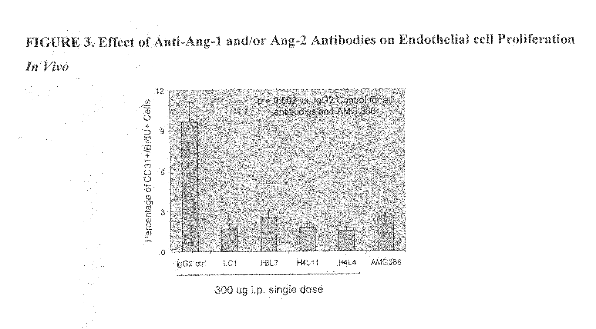 Antibodies directed to angiopoietin-1 and angiopoietin-2 and uses thereof