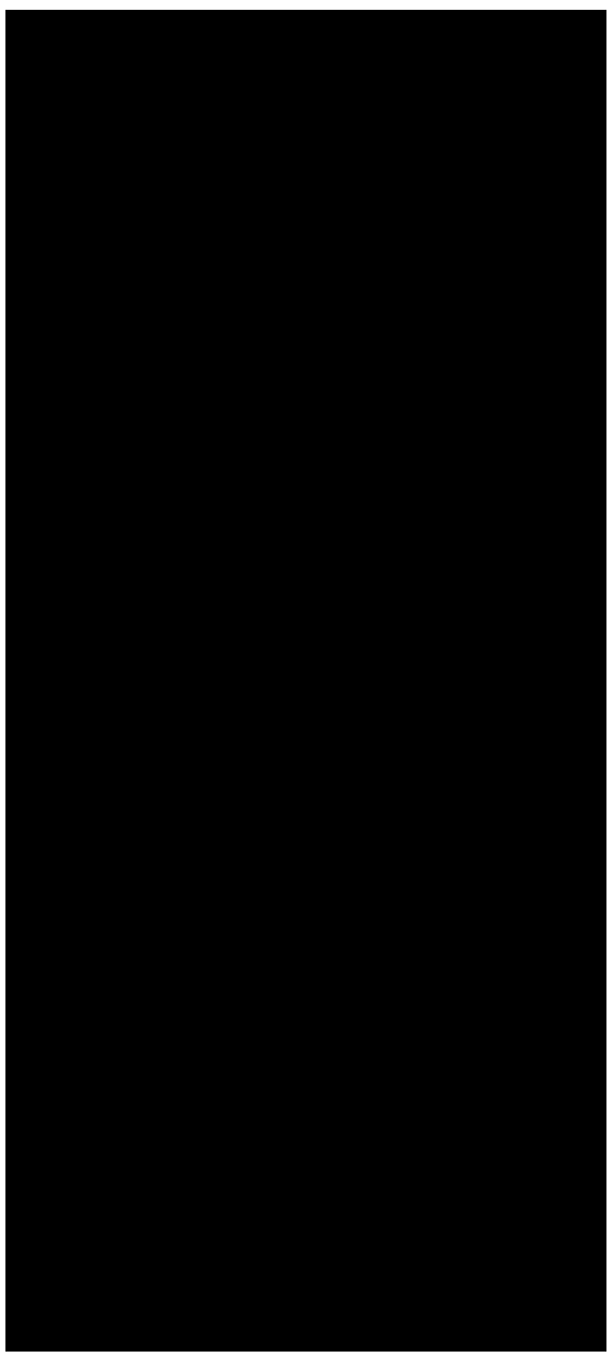 ORF069 (Open Reading Frame 069) gene deleted strain of infectious spleen and kidney necrosis virus as well as preparation method and application thereof