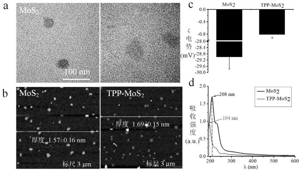 Synthesis method of mitochondria-targeting nano triphenylphosphine MoS2 quantum dots