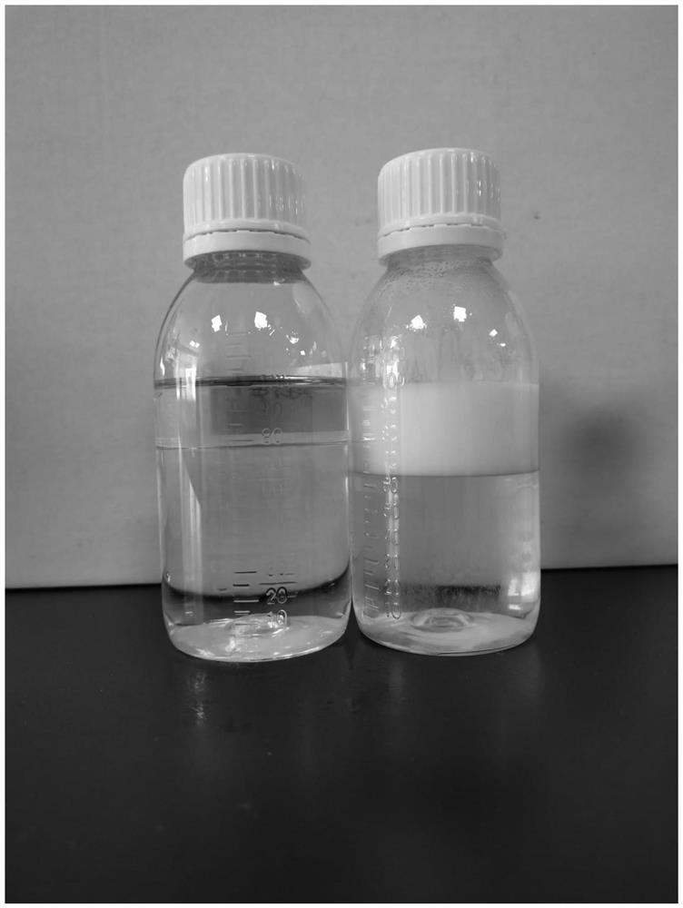 Double-layer shower gel with stable milk cover layer and preparation method of double-layer shower gel