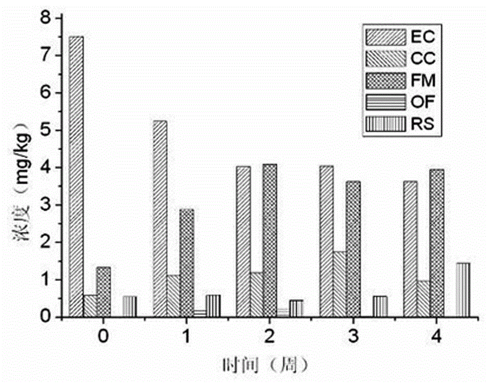 Enteric bacilli with fixing effect on cadmium capable of promoting plant growth and application of enteric bacilli