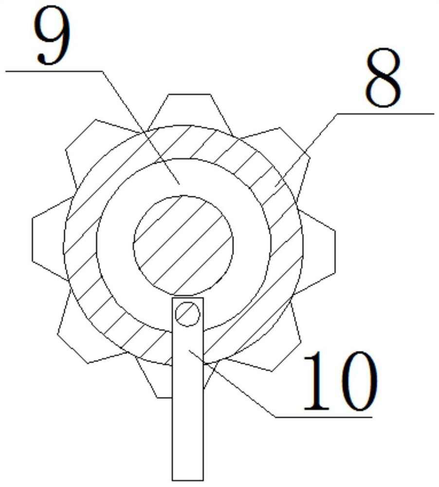 Production device and production method of gecko powder (freeze-dried)