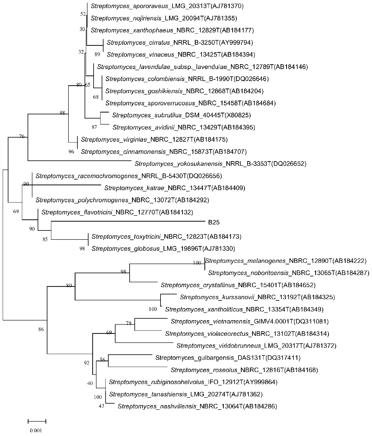 A kind of Streptomyces aflatoxin and bacterial agent and application thereof