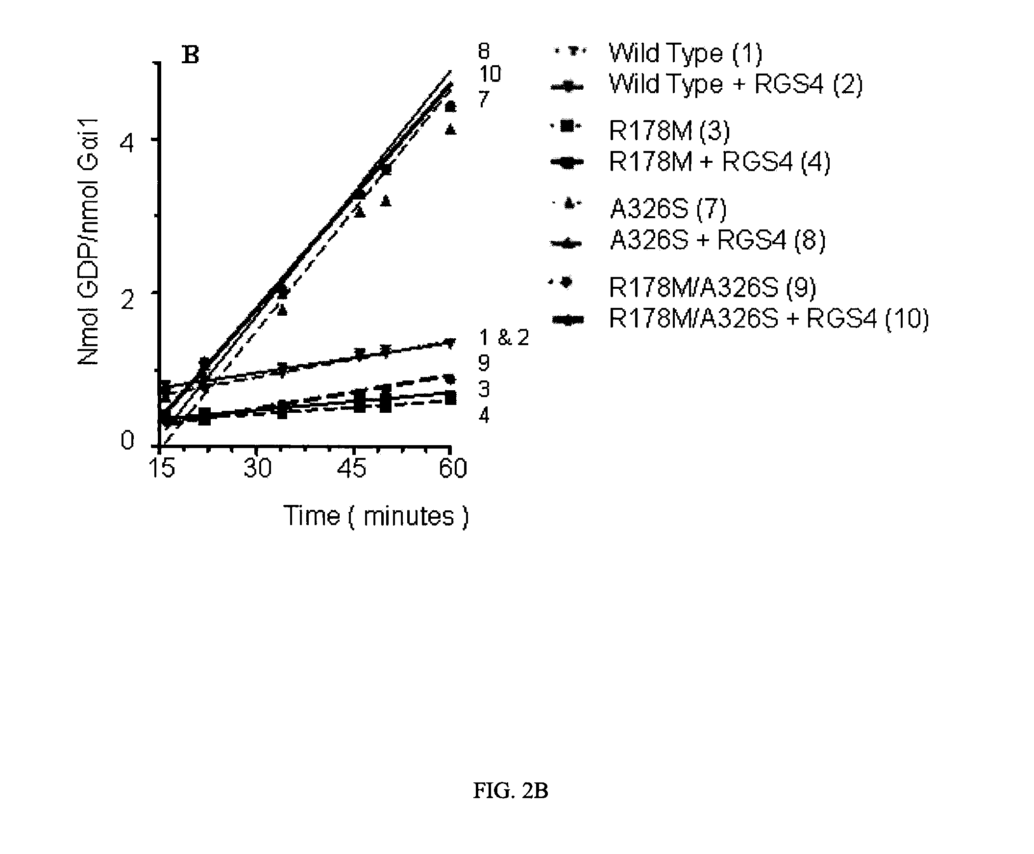 Genetically engineered G-alpha proteins and uses thereof