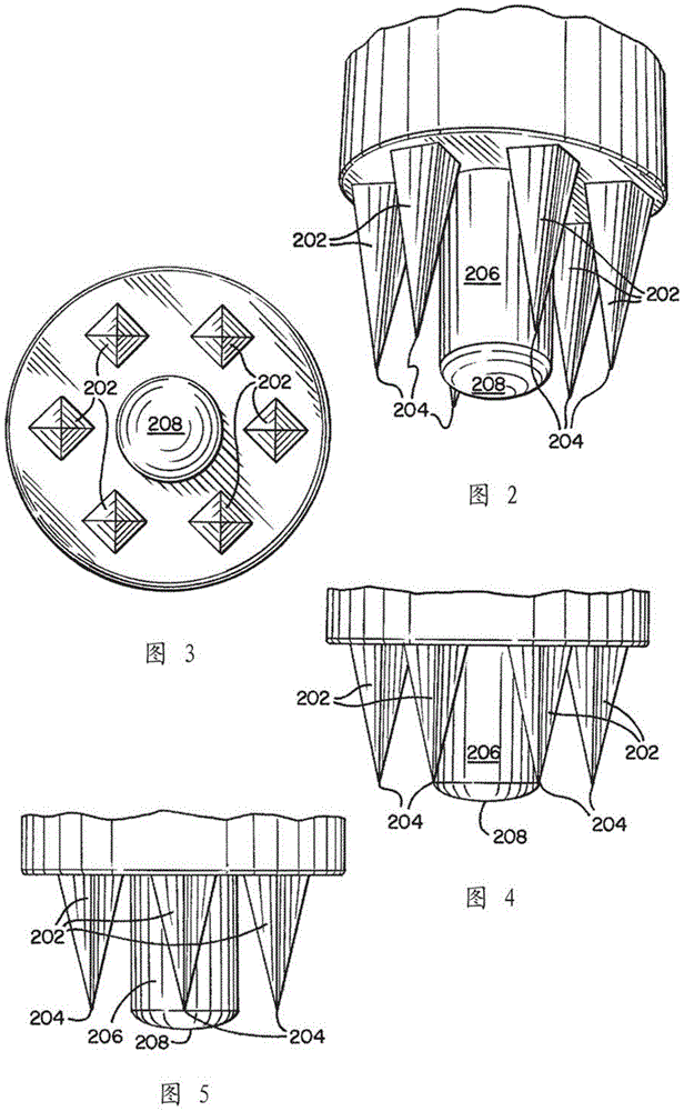 Allergy testing device and method of testing for allergies