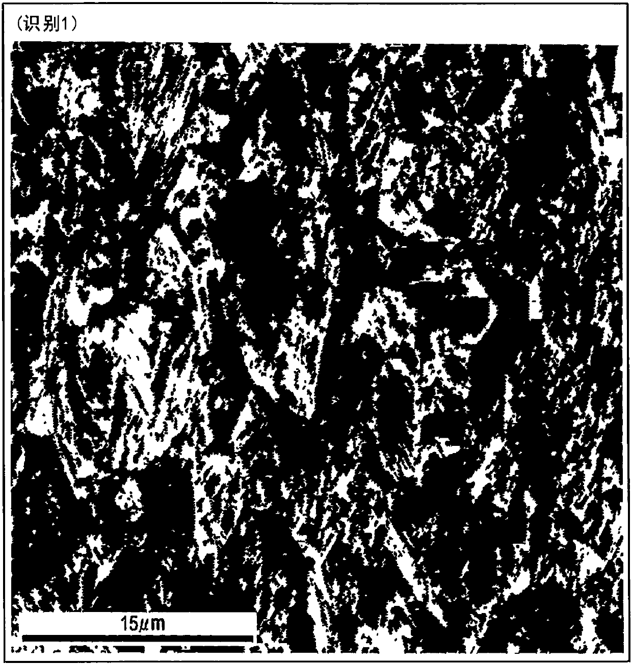Metastable austenitic stainless steel band or sheet and manufacturing method therefor