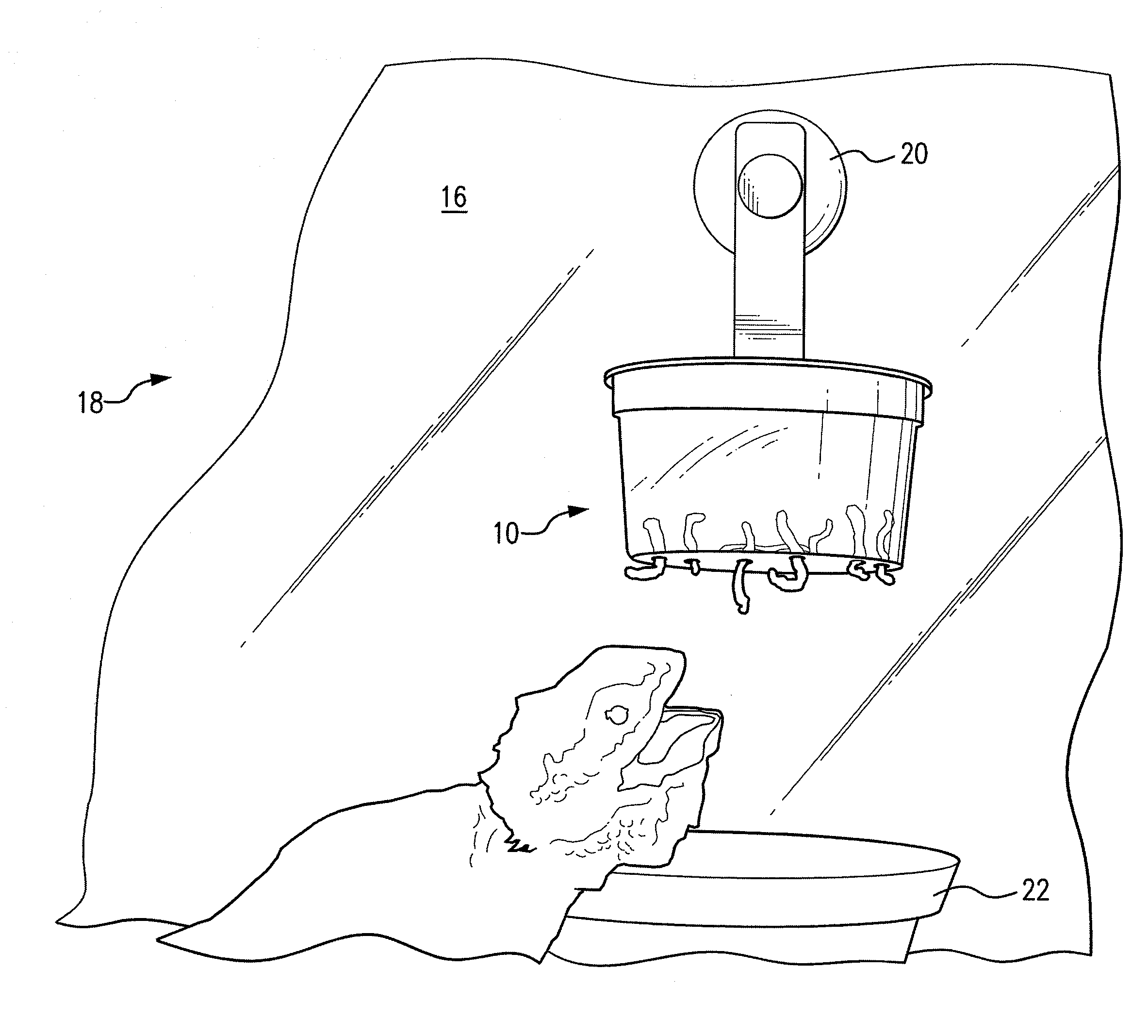 Mealworm feeder