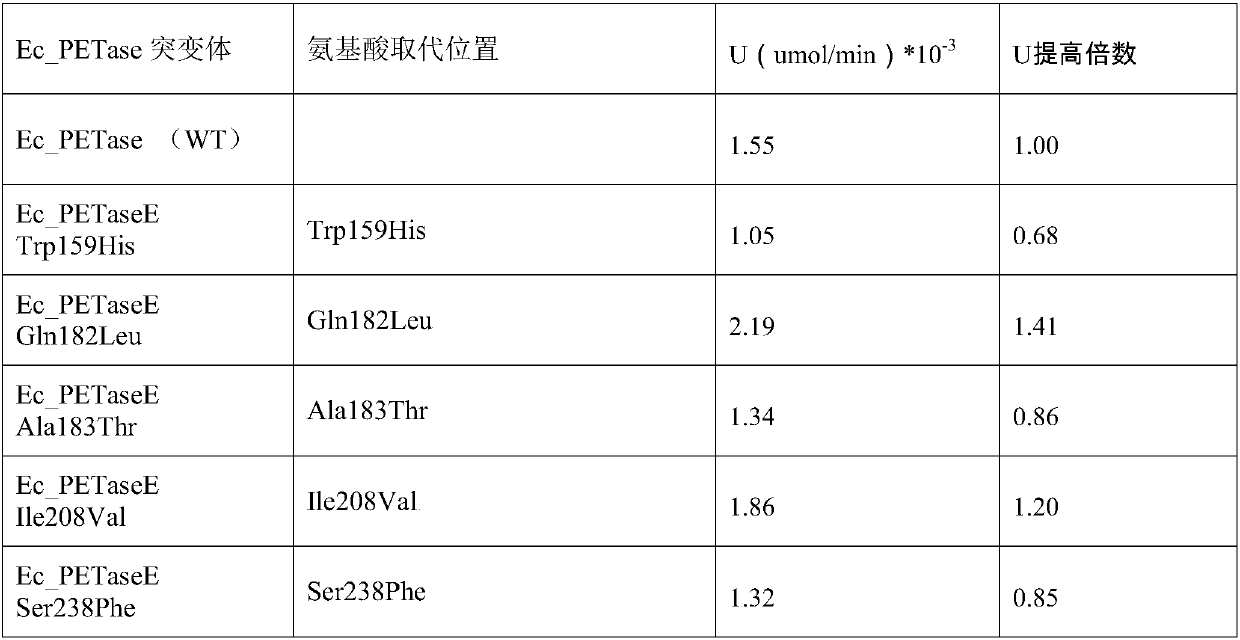 PET hydrolase mutant with high catalytic activity