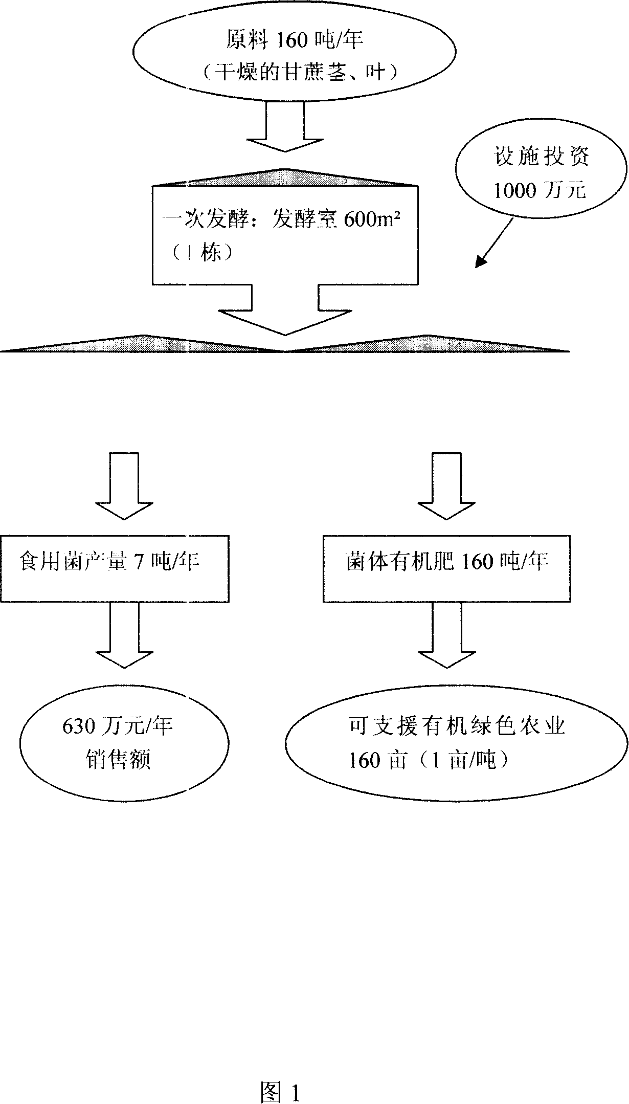 Ecological agriculture domestic fungus resource cyclic utilization method