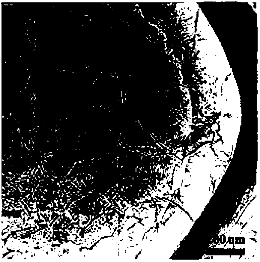 Method of in-situ assembly, electrochemical reduction and representation of graphene oxide