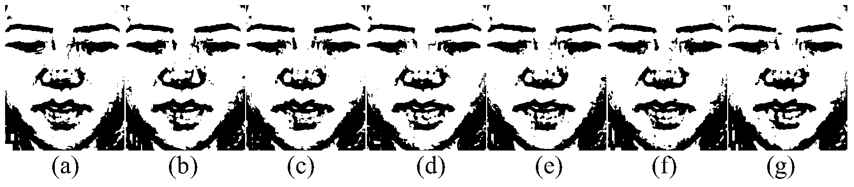 Face microexpression recognition method
