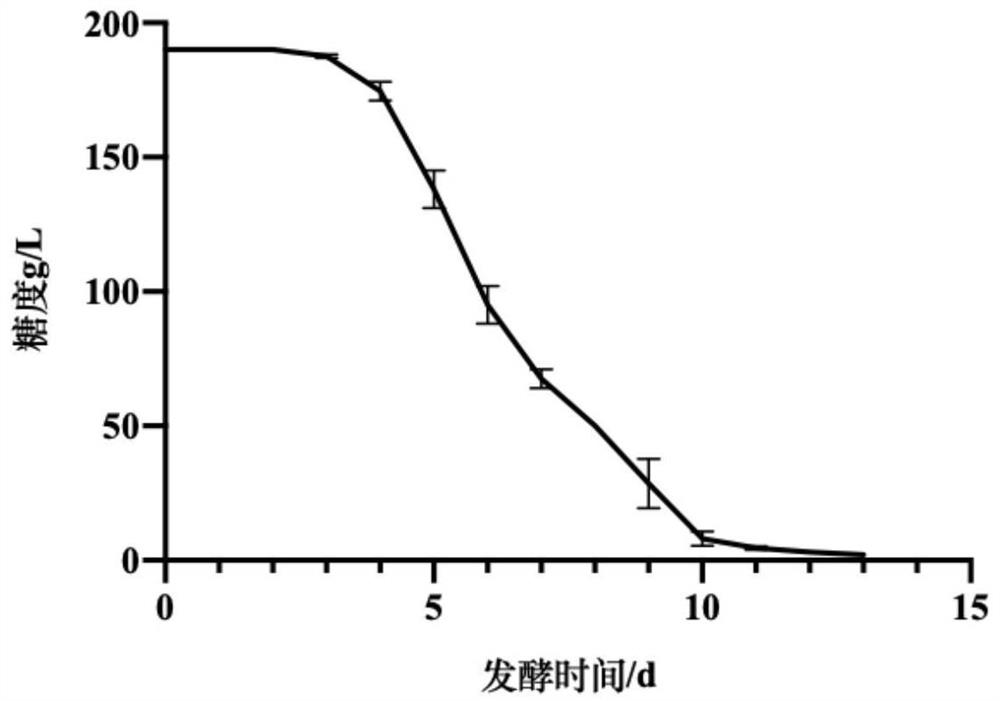 Two yeasts for promoting production of lactic acid and phenolic acid and application thereof in brewing process of dry white wine