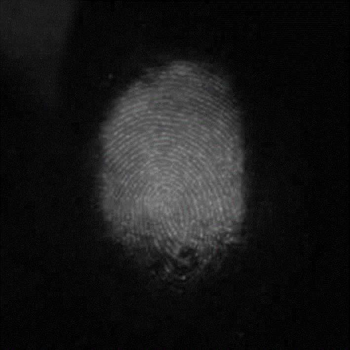Latent fingerprint displaying method