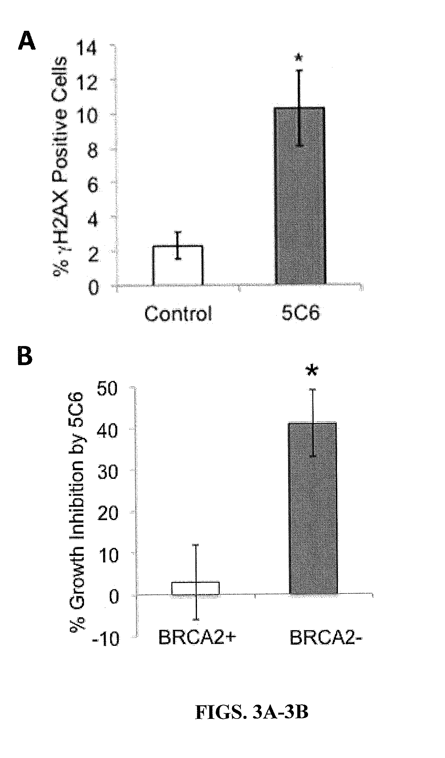 Cell penetrating nucleolytic antibody based cancer therapy