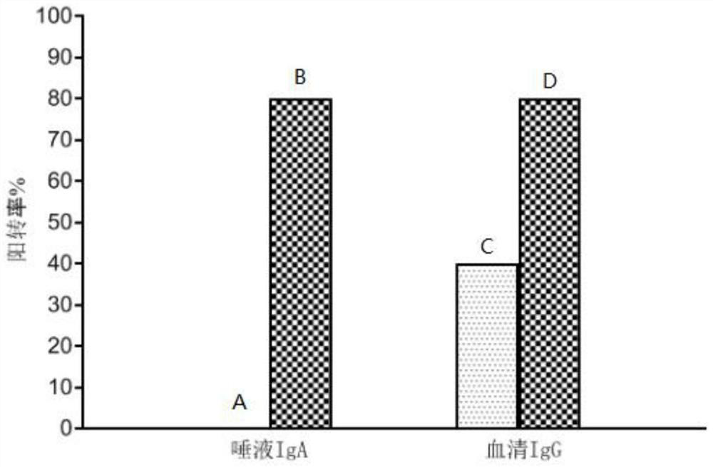 Medicament for improving efficacy of oral helicobacter pylori vaccine and use thereof