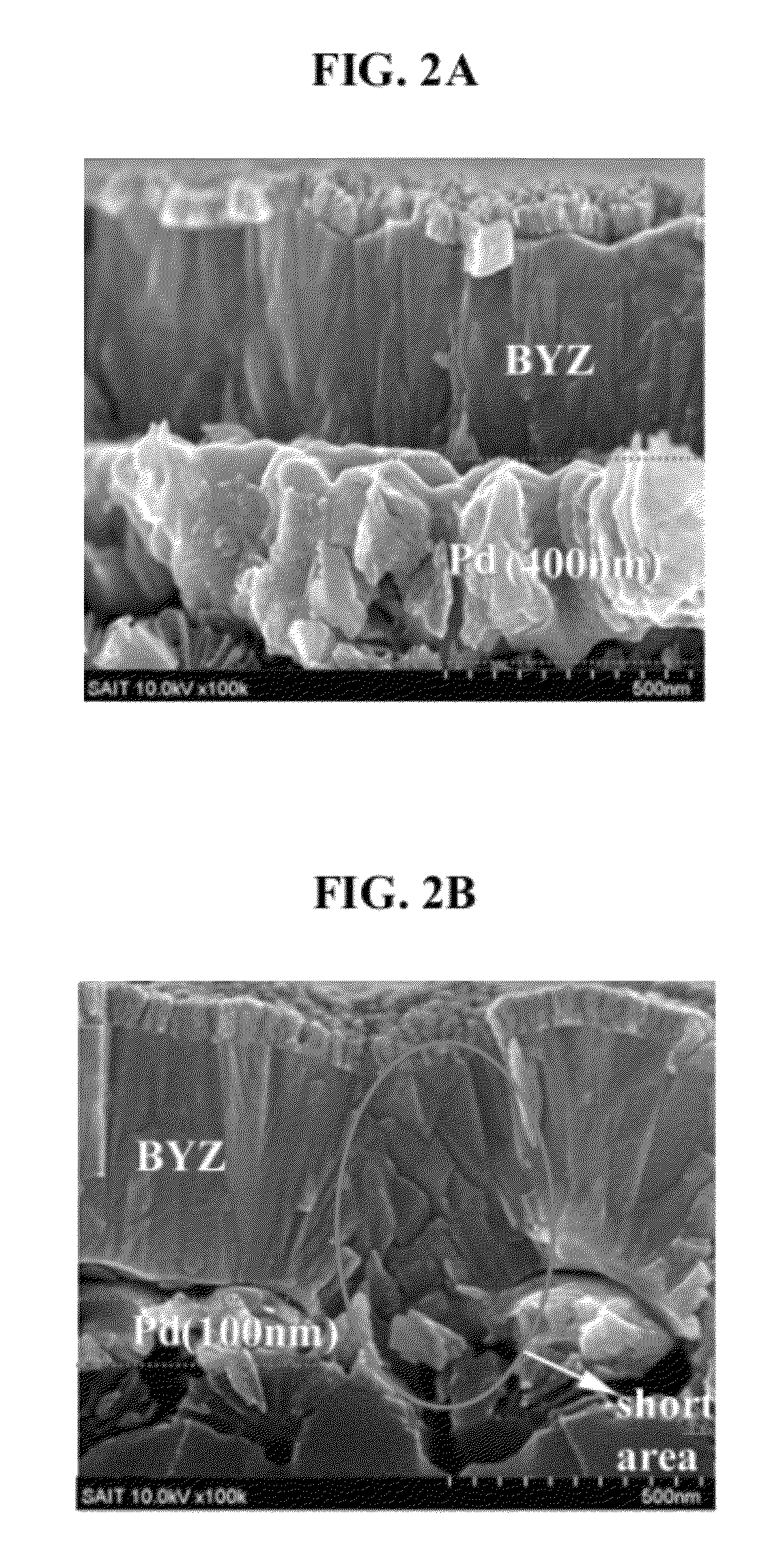 Membrane electrode assembly comprising a hydrogen permeable thin film, solid oxide fuel cell comprising the same and method of preparing the membrane electrode assembly